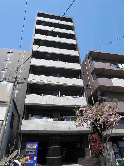 THE GRANDE REGA