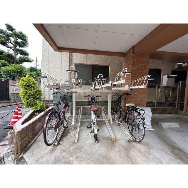 コスモポリタン
