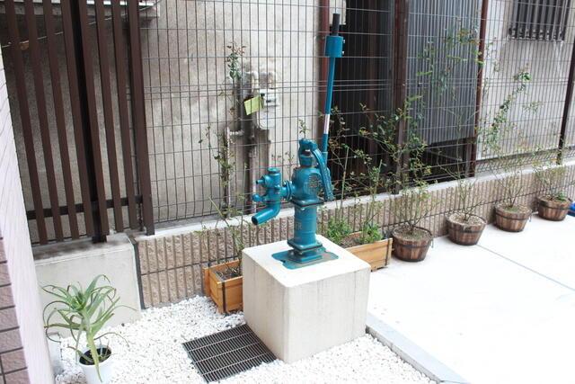 ステラ北進