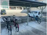 プリムローズB