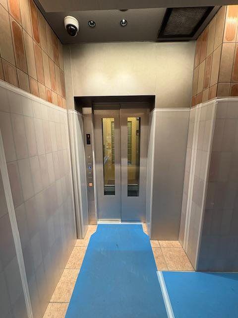 ウィステリア エス 上野