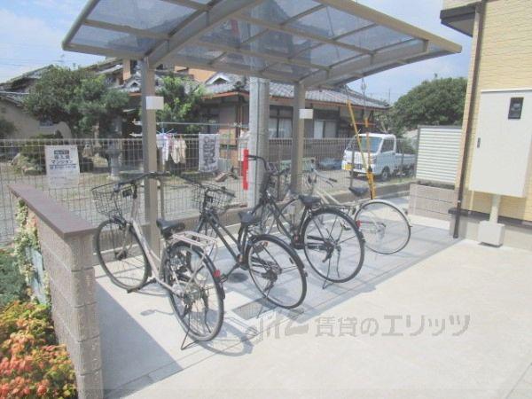 セレシェイラ