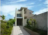 コージーオオトリ