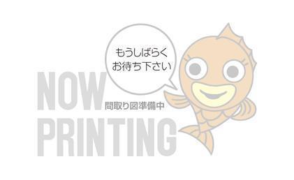 パークアベニュー(3LDK/2階)の間取り写真