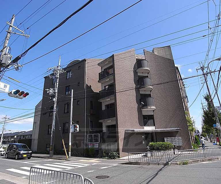 ラビリント川島