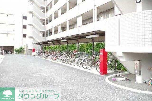 フォーリストフジカ
