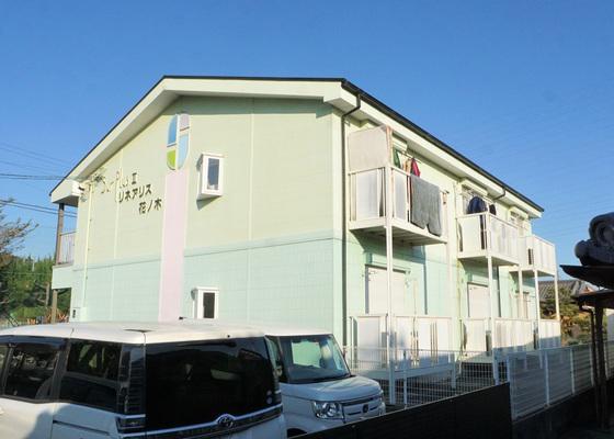 サープラスIIリネアリス花ノ木