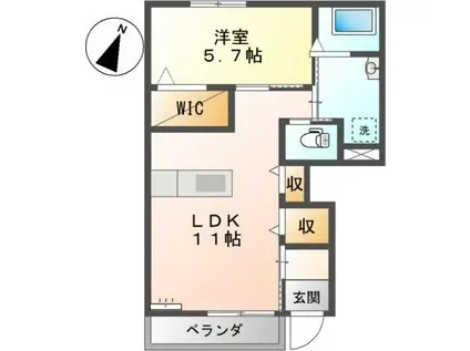 キャトルセゾン(1LDK/1階)の間取り写真