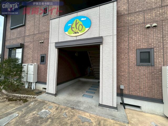 トトロの木