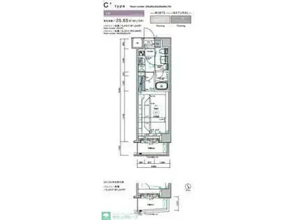 SYNEX KAMEIDO(1K/4階)の間取り写真