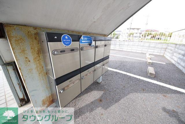ファスト・ラフィーヌ