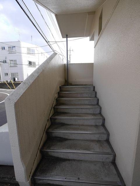 ラベンダーライト