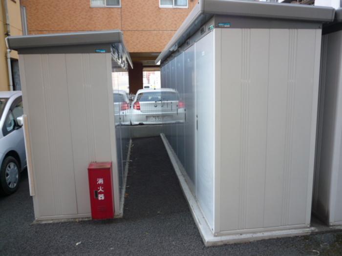ミゥ・フォリア