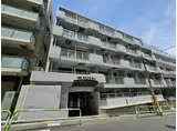 トップ成城学園第2