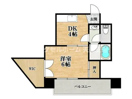 カサエルドラード壱番館(1DK/5階)の間取り写真