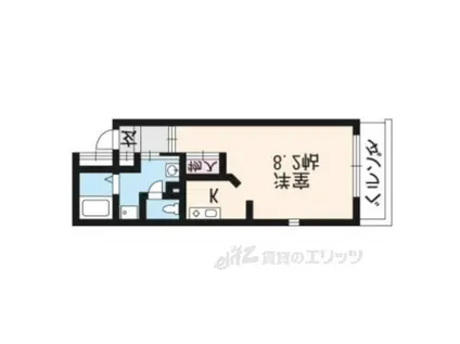 シェーンブルン(1K/1階)の間取り写真