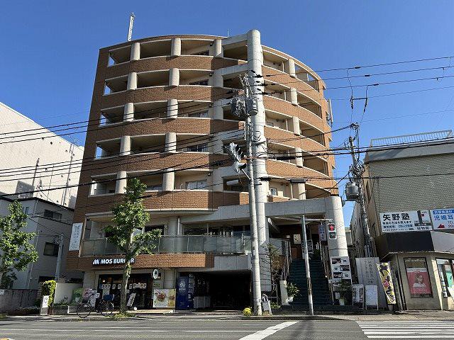 GATO D.M北山