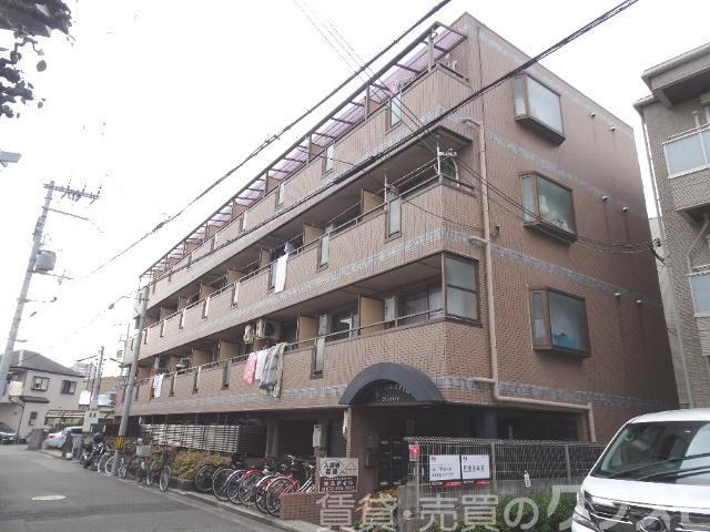 プルメリア