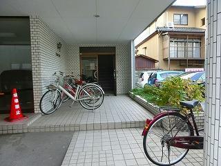 プレーンコート
