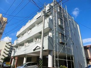 プレーンコート