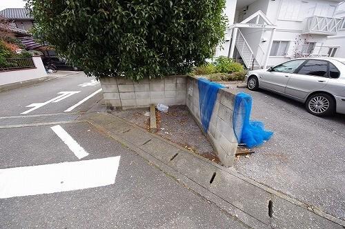 マロニエタウン錦B