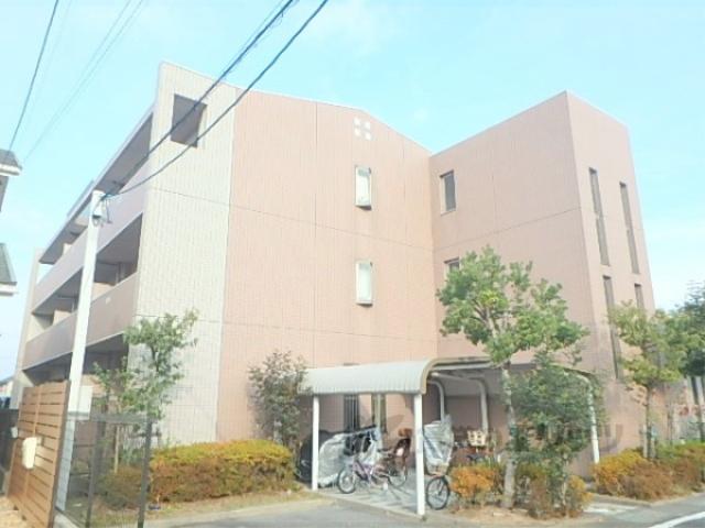 フローラ藤