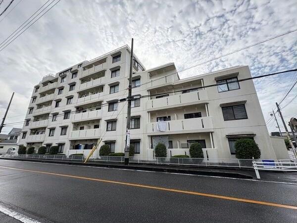 センチュリーコート緑