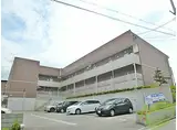 アンプルールクラージュコリーヌシャンⅡ