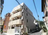 エバーグリーン
