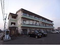 ロフティ津市場