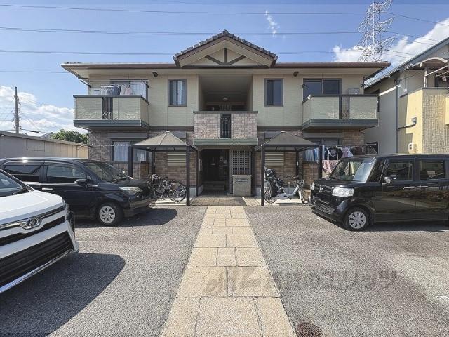 チェリーブロッサム