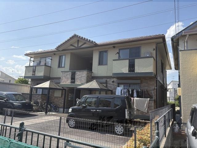 チェリーブロッサム