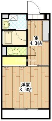 フォルテN(1DK/5階)の間取り写真