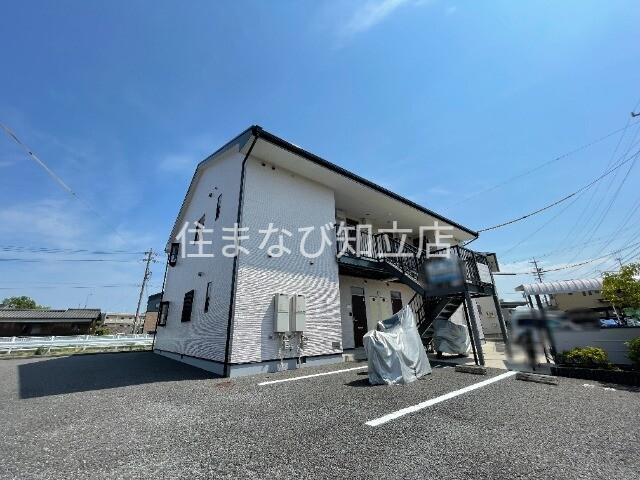 ブライトカメリア