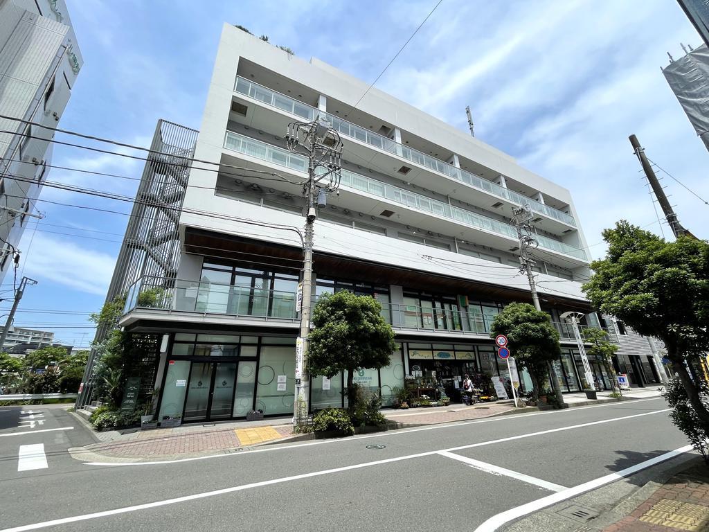 ステラ湘南