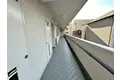 シーズモア