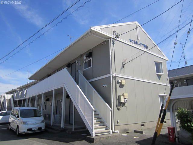 セントポーリア葵D