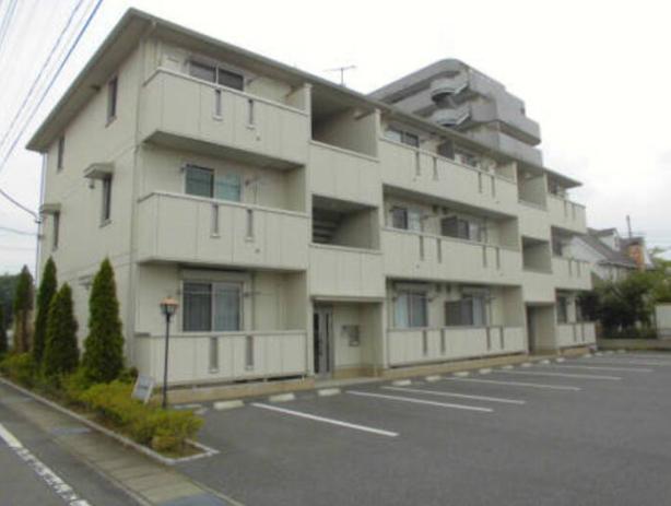 ヴェラハイツM