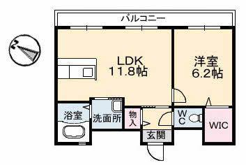C.C.COURT五日市駅前(1LDK/2階)の間取り写真