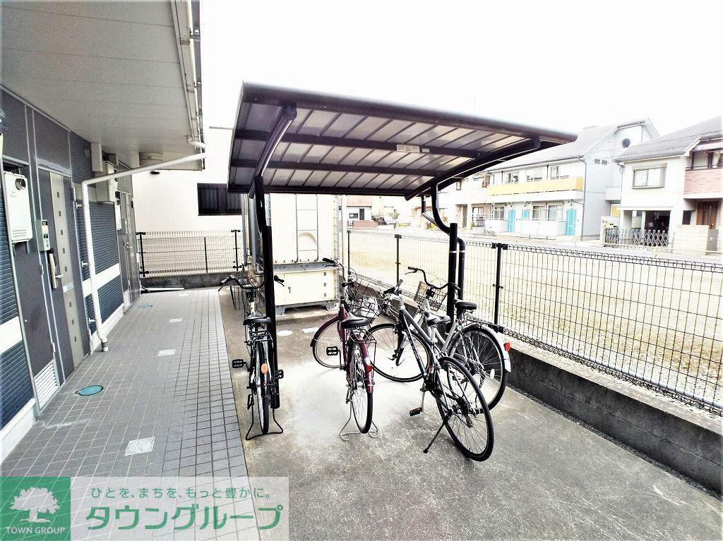 レオネクストヒマワリ