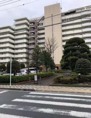 コスモ蕨