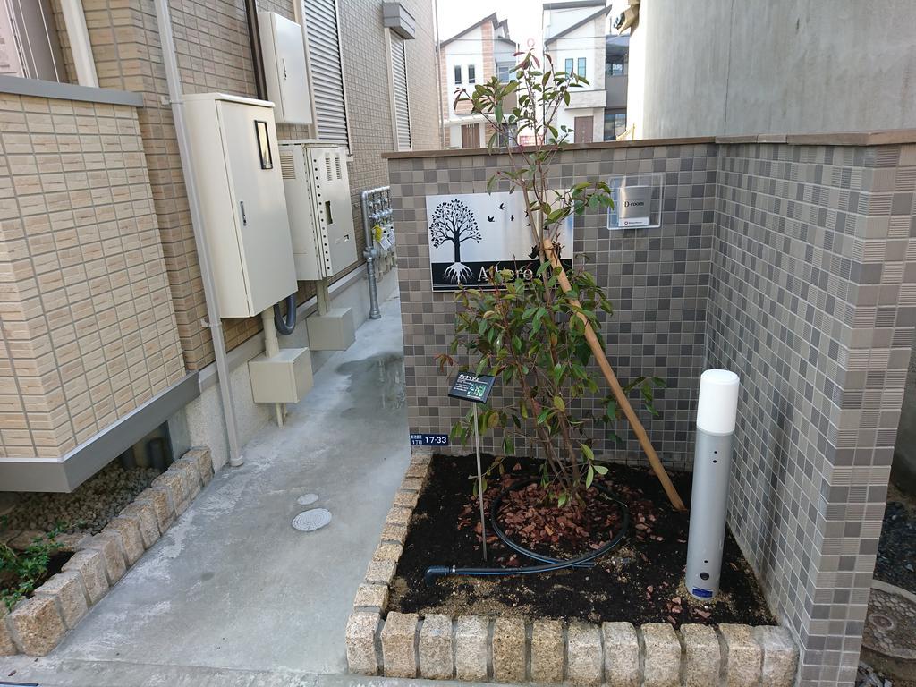 アルベロ