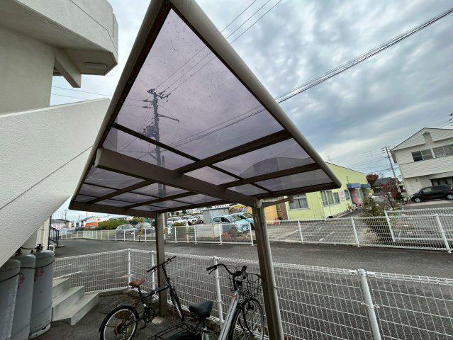 ジョイジュネス