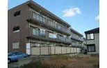 ドルチェ