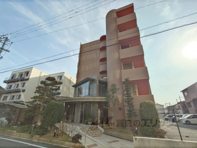 FREAはい21