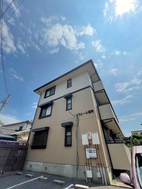 ハイカムール梅寿