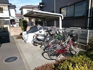 エヴァーグリーンB