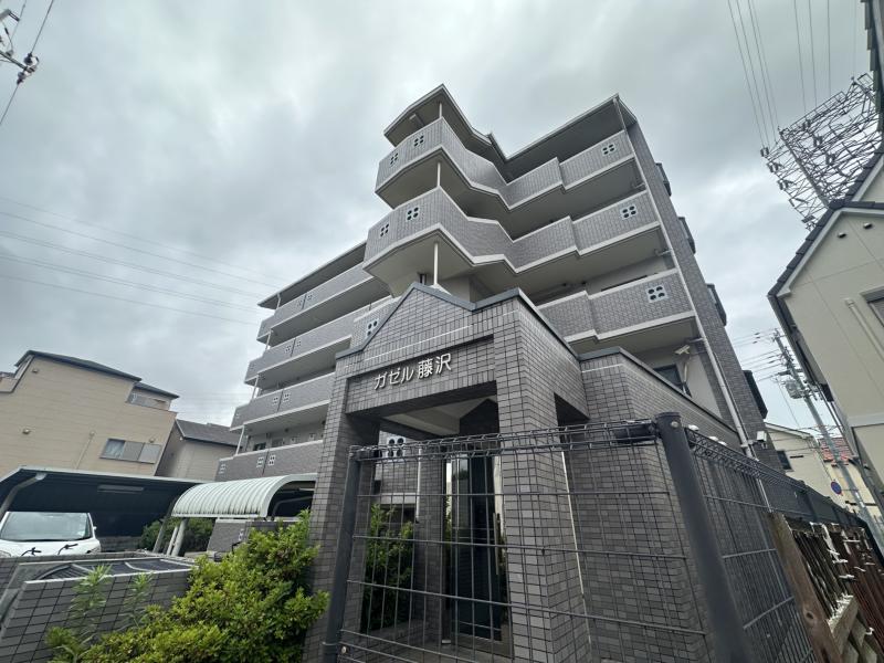 ガゼル藤沢