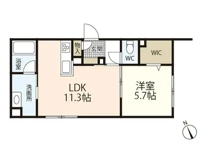 MIWISE(1LDK/1階)の間取り写真