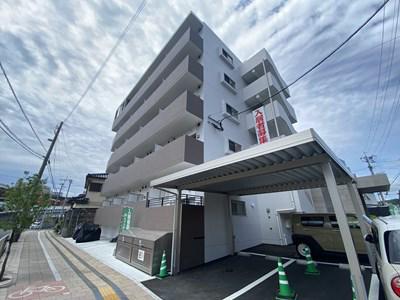 メルシー郡元